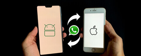 Android to iPhone: How to Transfer WhatsApp Data?